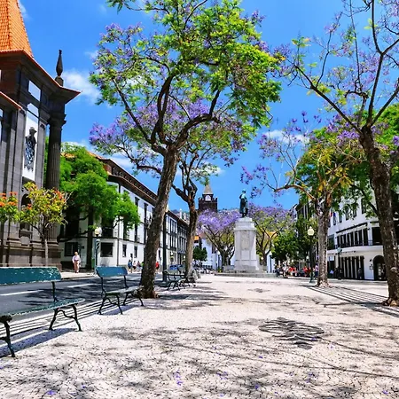 Gasparini Palheiro Village By Madeira וילה פונשל