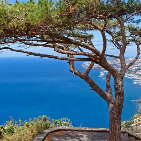 Gasparini Palheiro Village By Madeira * Funchal (Madeira)